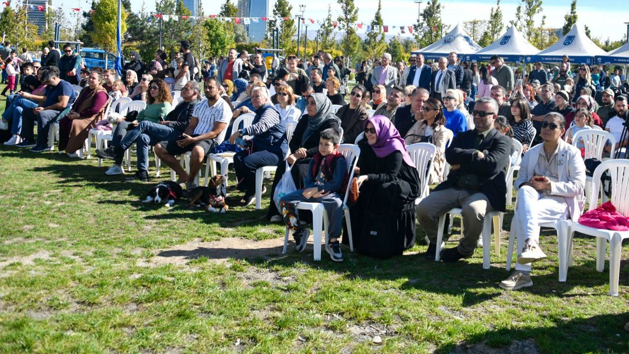 Ankara Büyükşehir Belediyesi 2019'dan bu yana 9 milyon veterinerlik hizmeti sundu