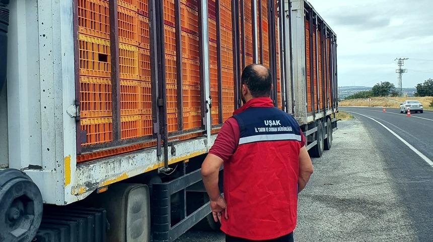 Uşak'ta hayvan hastalıklarına karşı yol denetimleri yapılıyor