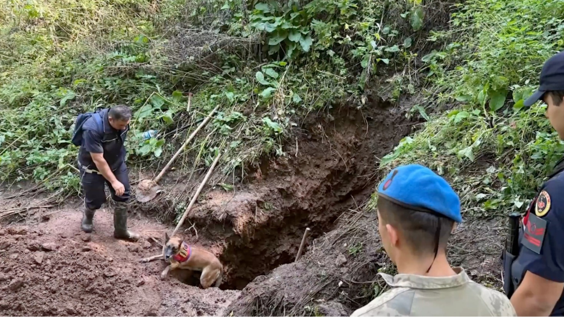 Artvin'de 30 yıldır kayıp olan Nigar Bilgin'in cinayete kurban gittiği belirlendi