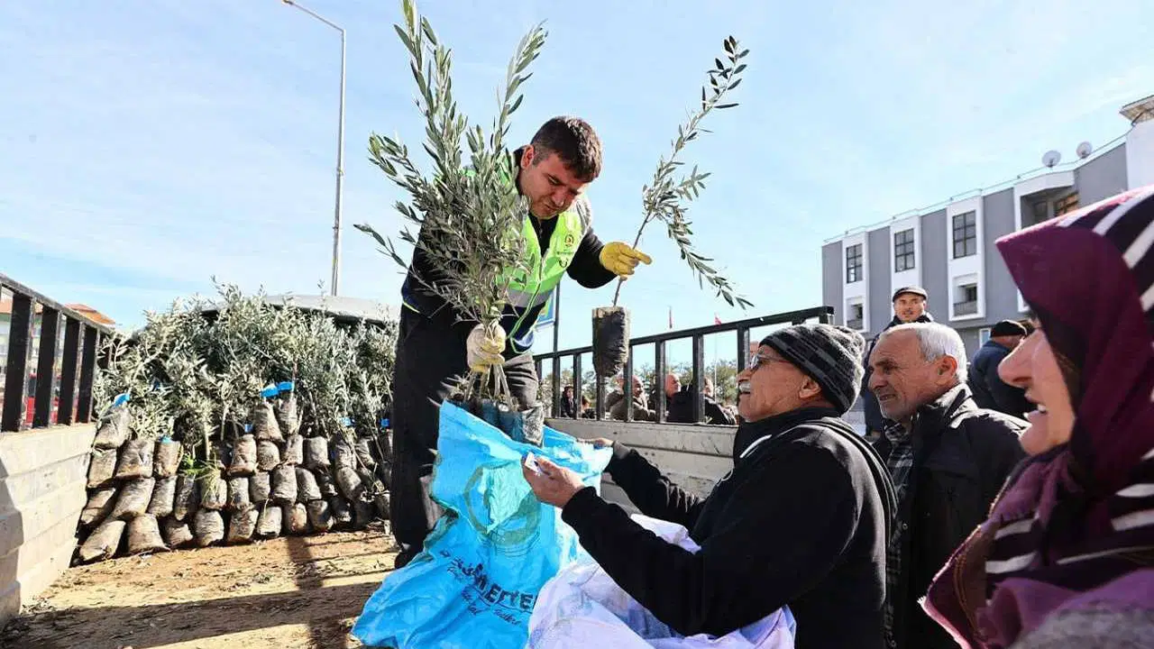 Denizli Büyükşehir Belediyesi üreticilere sertifikalı fidan desteği veriyor