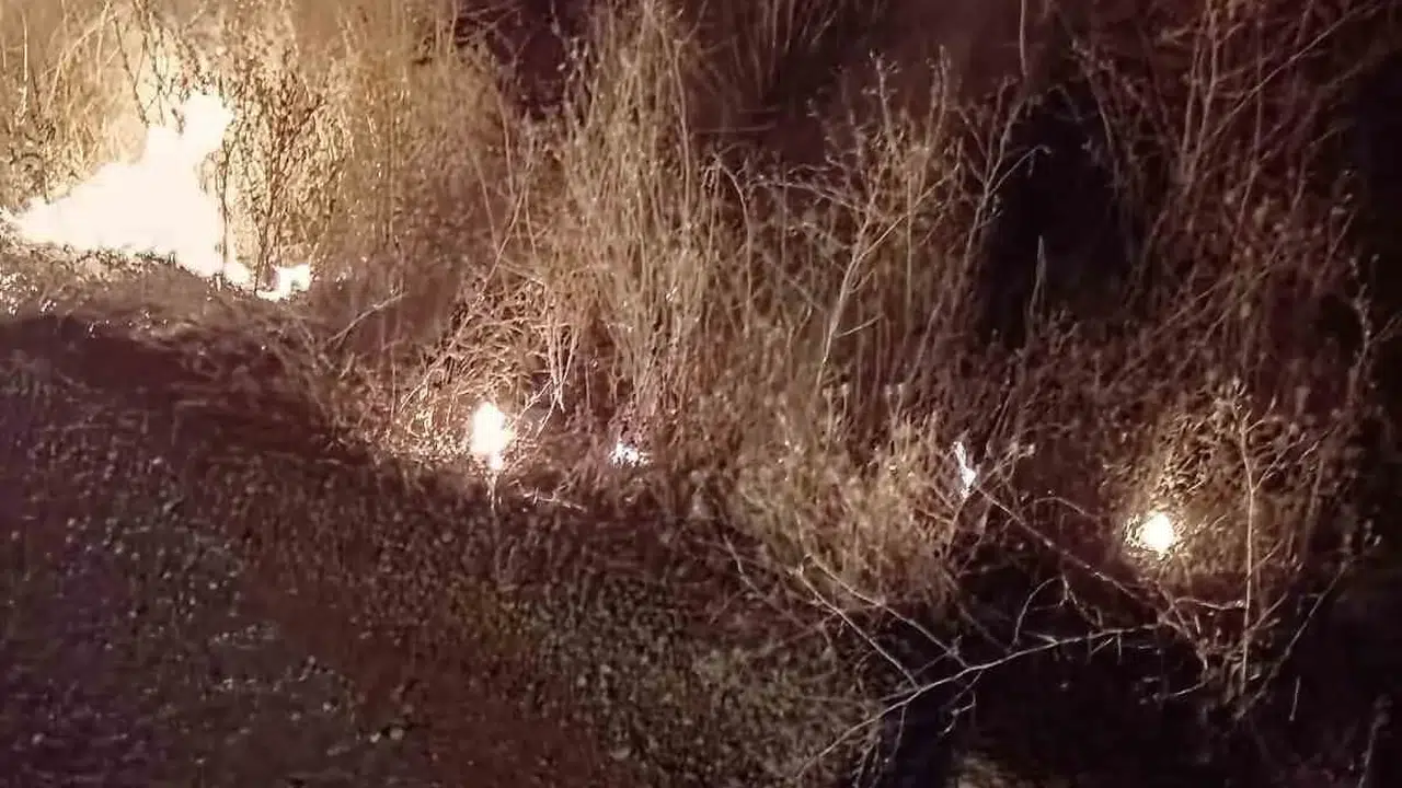 Beyşehir'de lavanta tesisi ve arazide çıkan yangınlar söndürüldü