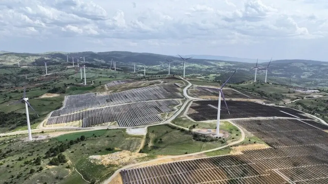 Türkiye'nin yenilenebilir enerji hedefleri Hamburg'da tanıtıldı