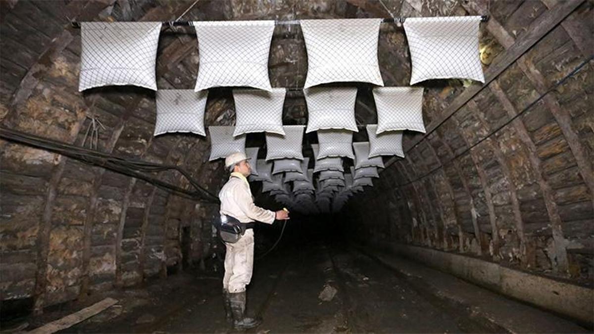 TTK Zonguldak ve Bartın illerinde 61 daimi işçi alımı yapacak