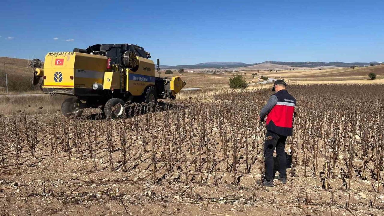 Aslanapa'da hibe destekli ayçiçeği alanlarında hasat öncesi denetim yapıldı
