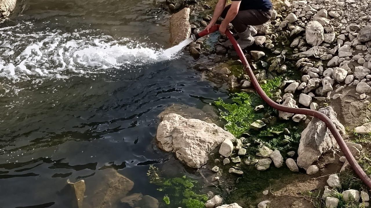 Yüksekova'da kuraklık nedeniyle sıkışan balıklar için tankerle su taşındı