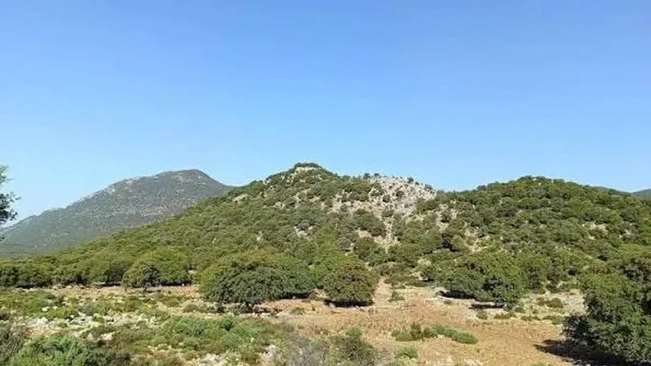Antalya'daki 2B arazileri soruşturmasında 15 şüpheli için tutuklama istendi