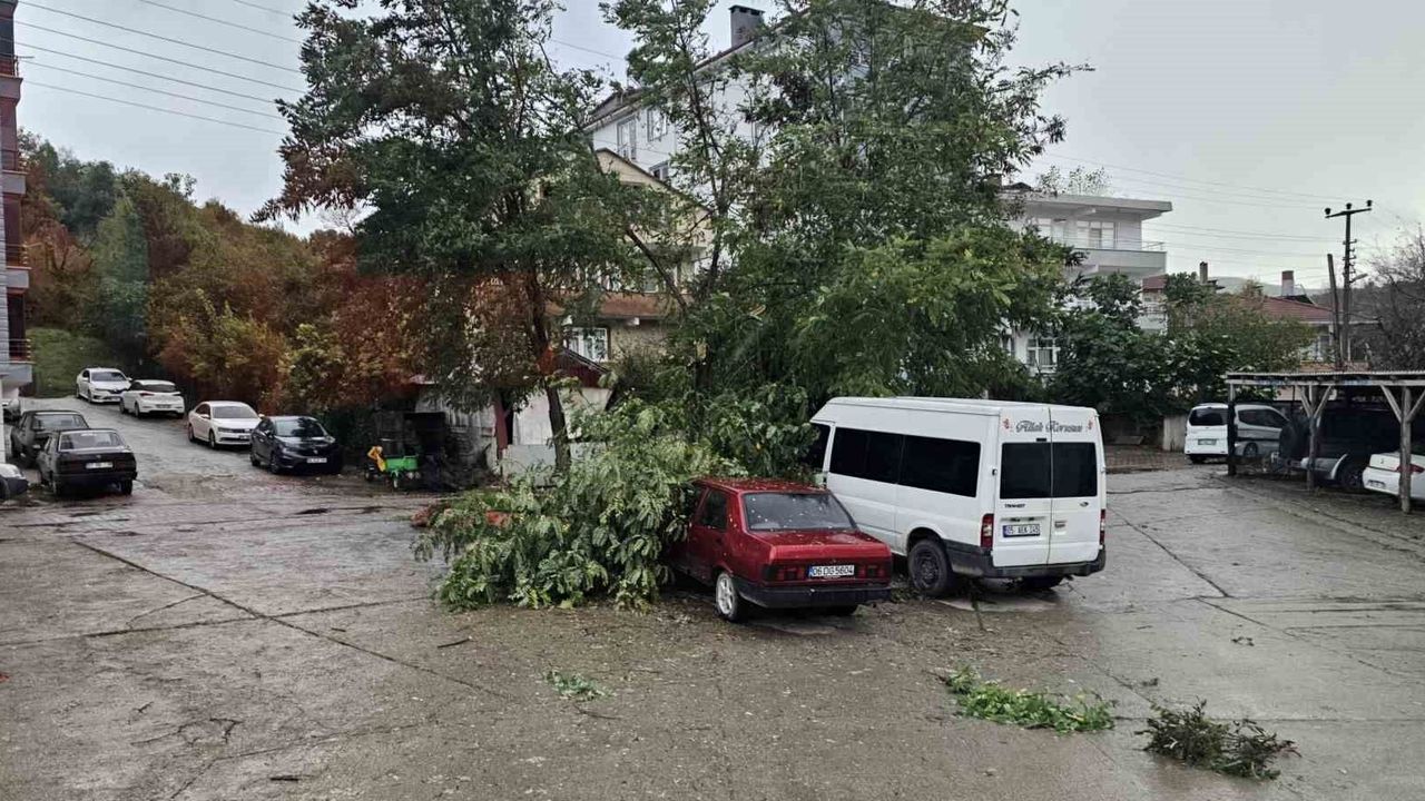 Kastamonu'da fırtına 5 ilçede hasara yol açtı