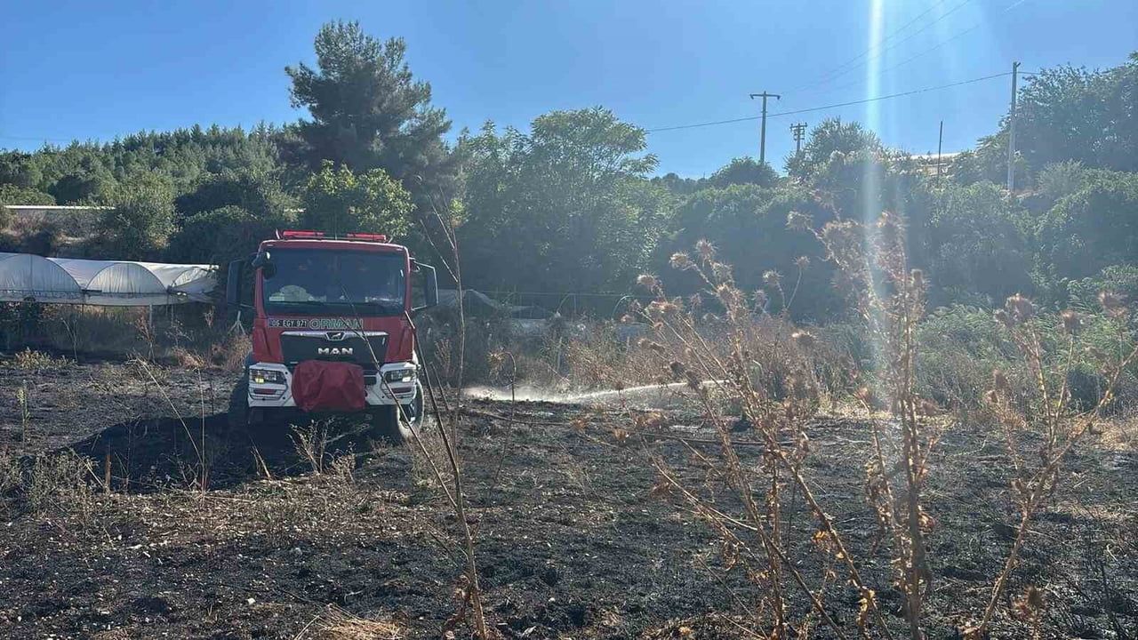 Bilecik'te elektrik kablosundan çıkan kıvılcım yangına yol açtı