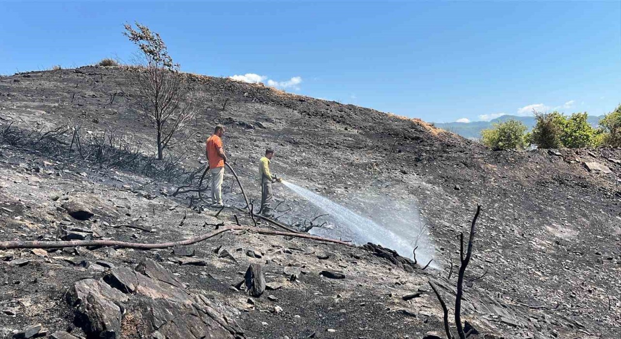 Alanya'da çıkan yangın 10 dönümlük alanı ve bir serayı etkiledi