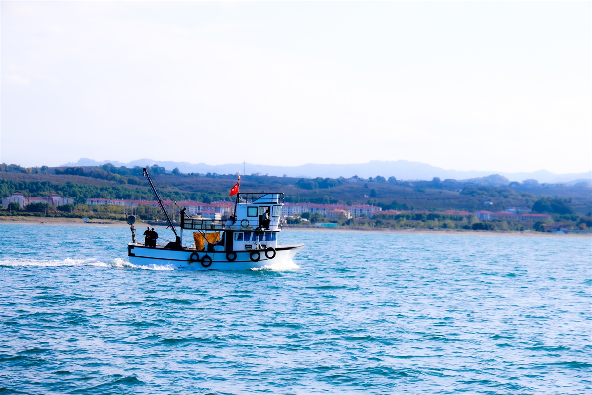 Sakarya Kocaali'de palamut avında bolluk yaşanıyor