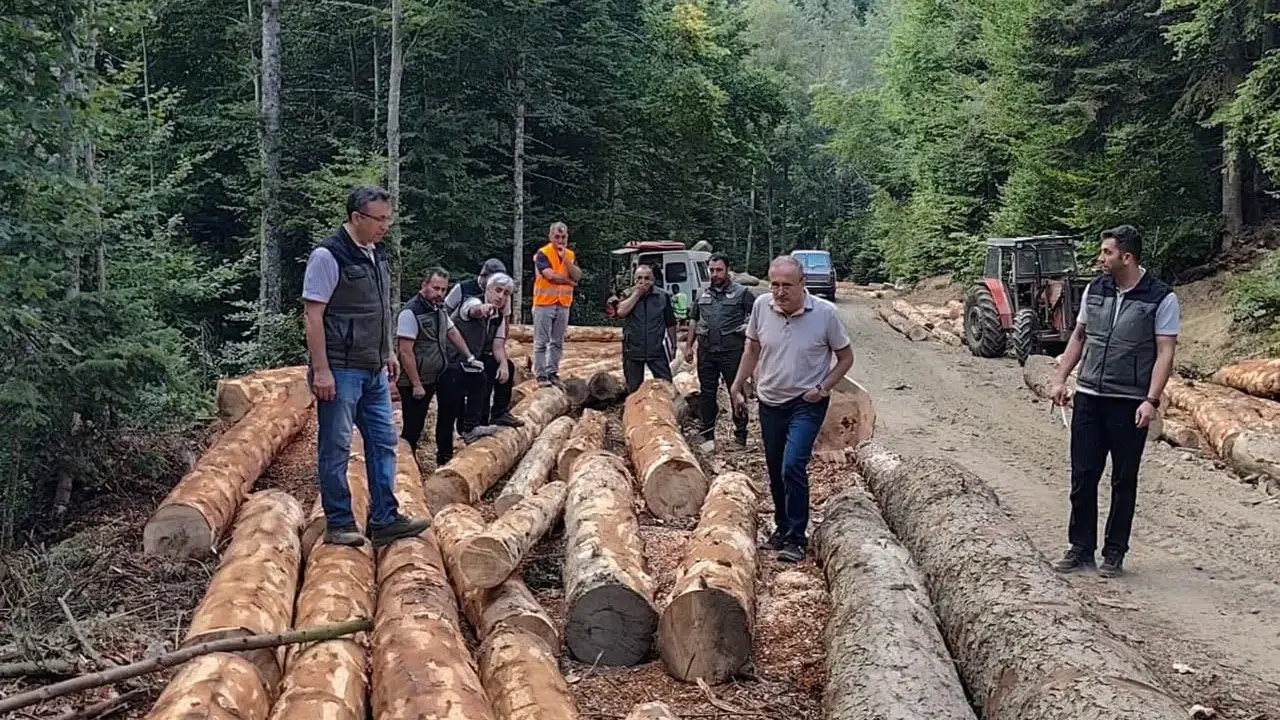 Bolu Orman Bölge Müdürü Celal Kanbur ormancılık çalışmalarını denetledi