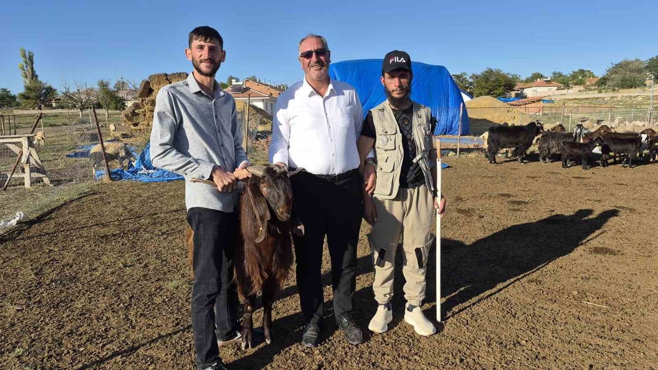 Yozgat'ta çobanlık yapan Bilir ailesi kendi hayvancılık işletmesini kurdu