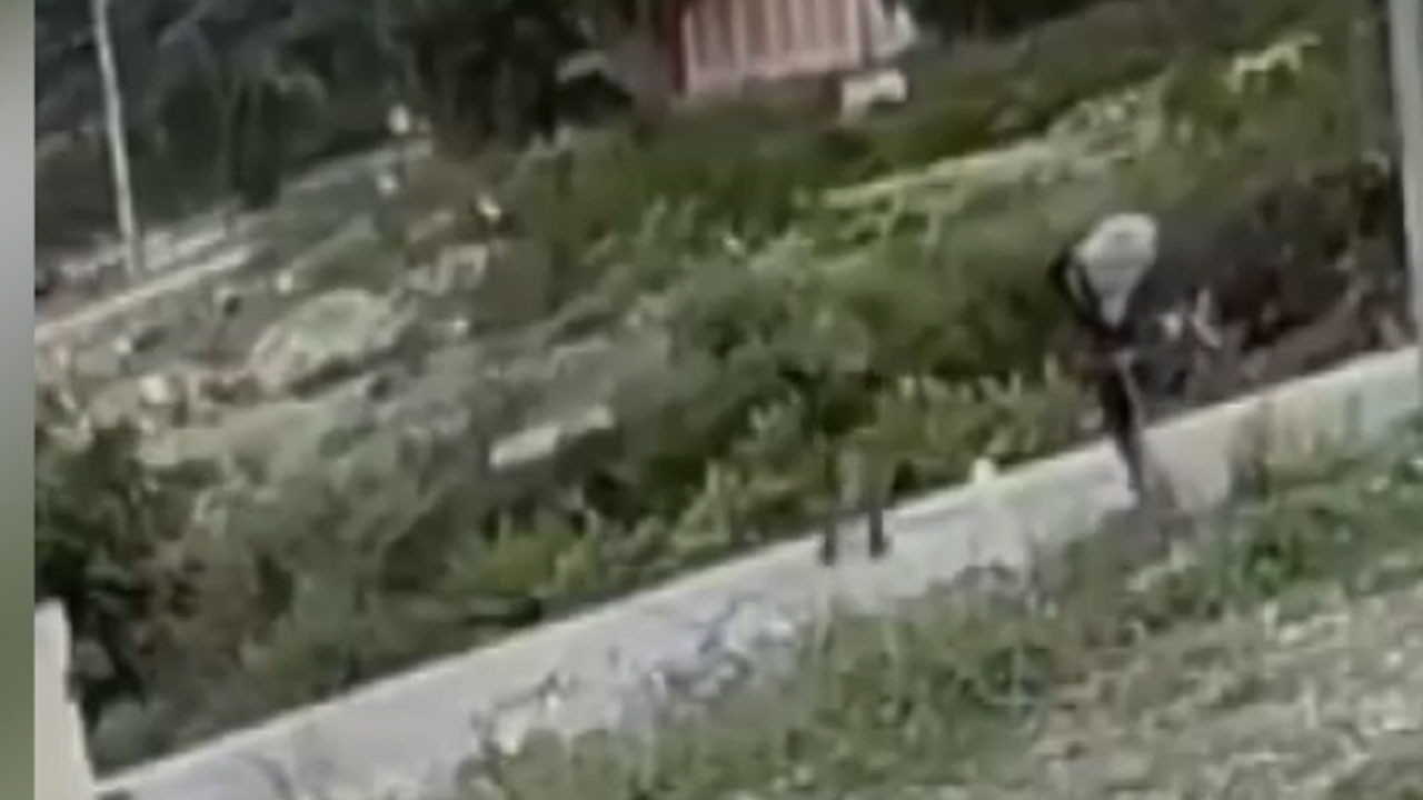 Antakya'da trafodan bakır kablo çalan 4 şüpheli yakalandı