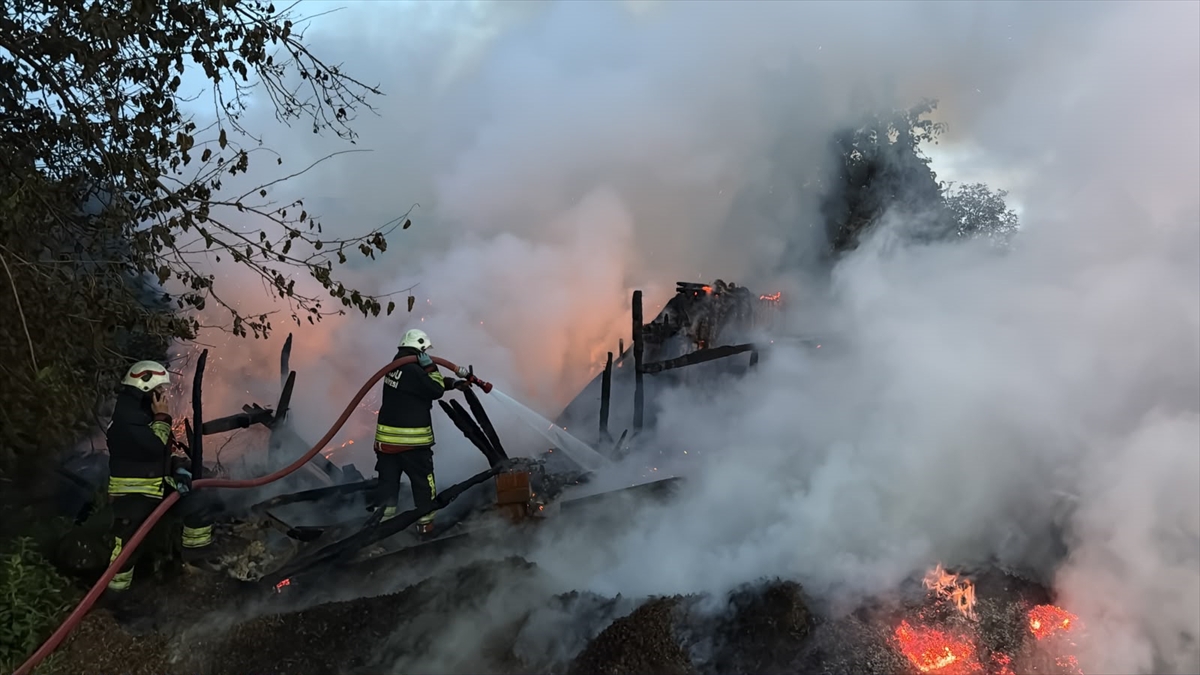 Ordu'nun Fatsa ilçesinde fındık kabuğu yangını metruk evi küle çevirdi