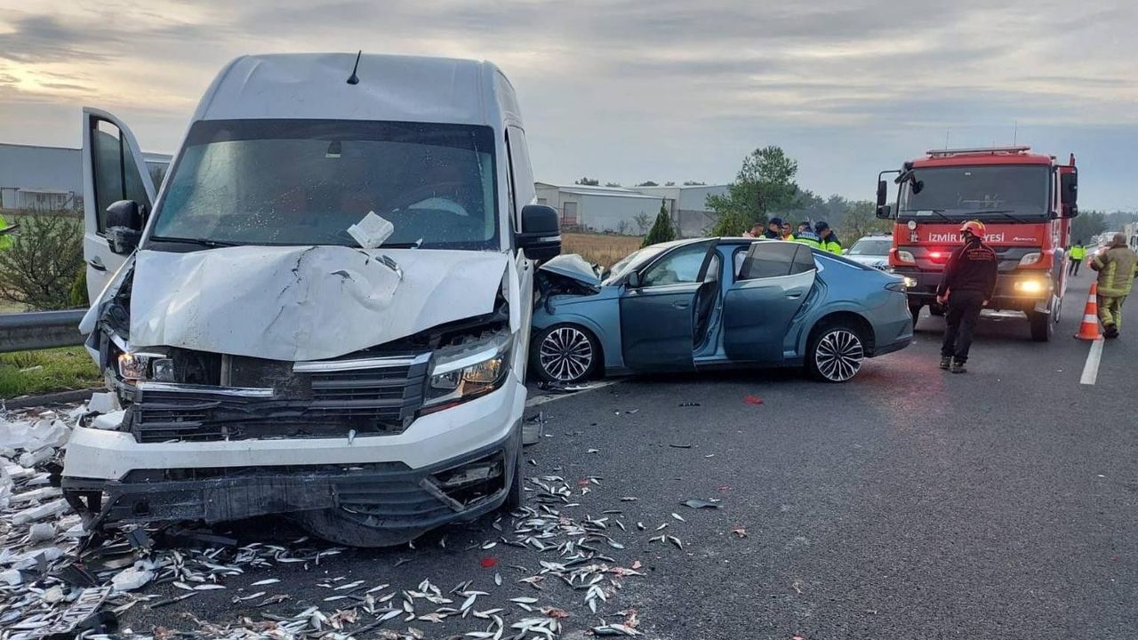 Adana merkezli sigorta dolandırıcılığı operasyonunda 77 gözaltı