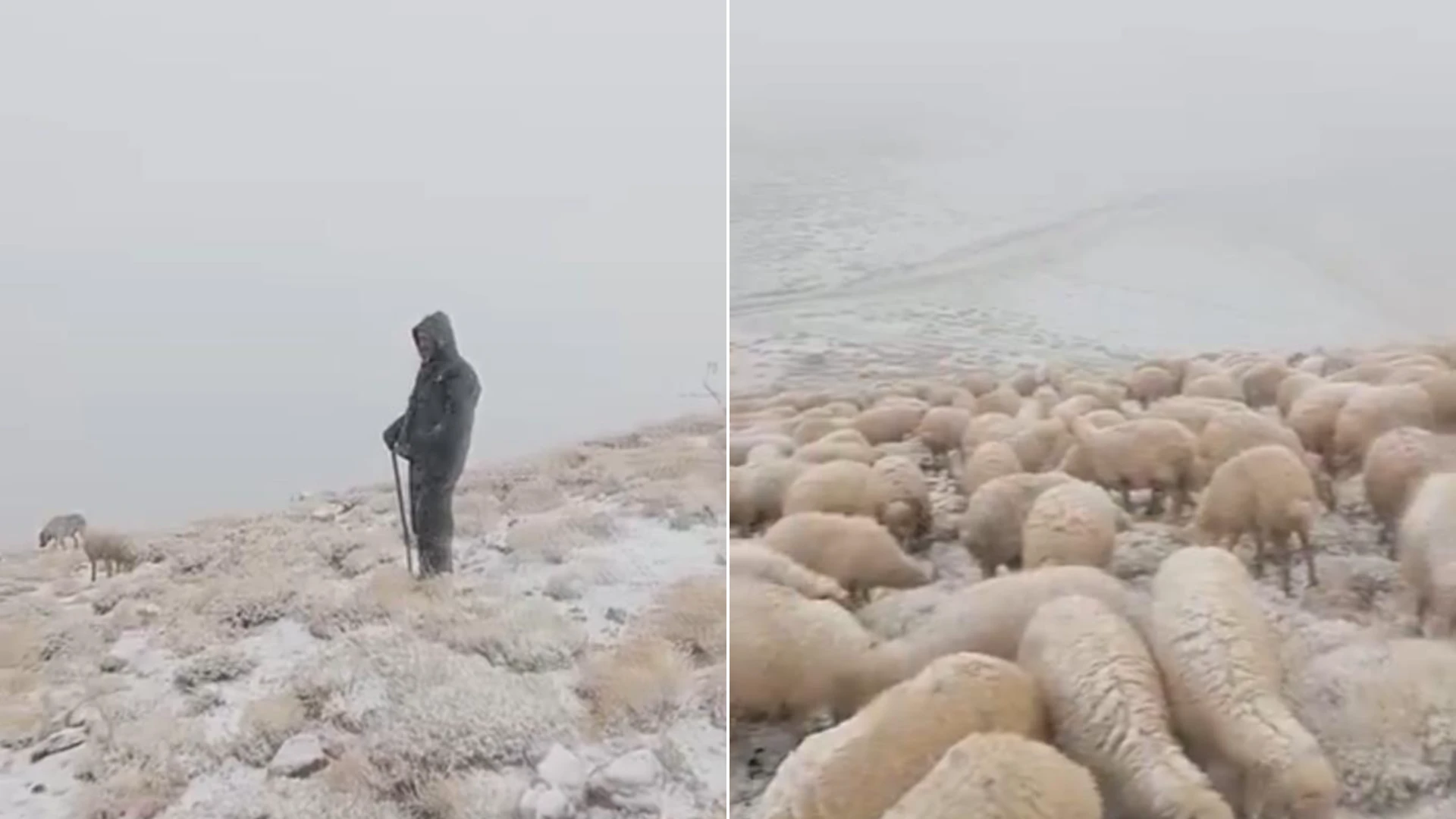 Tunceli Ovacık'ın yüksek kesimlerinde kar yağışı etkili oldu