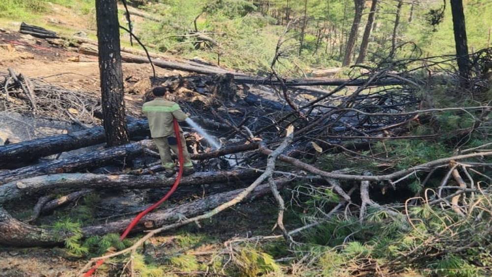 Muğla Ula'da orman yangını ekipler ve vatandaşların müdahalesiyle söndürüldü