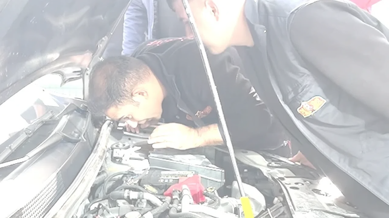 Aksaray'da otomobil motoruna sıkışan kedi oksijen gazıyla kurtarıldı