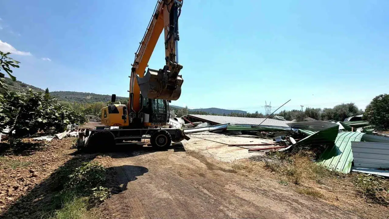 Osmangazi Belediyesi zeytinlikteki kaçak depoyu yıktı