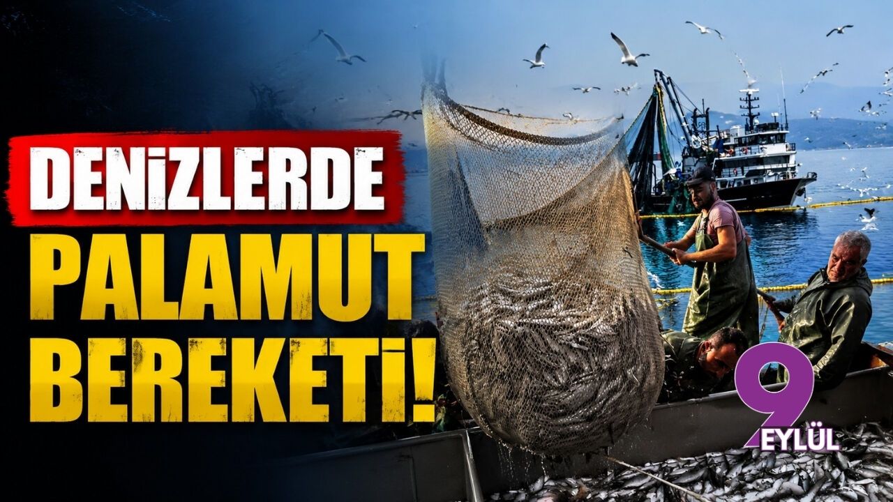 Yeni av sezonu öncesi palamut bolluğu ve ucuzluk beklentisi oluştu