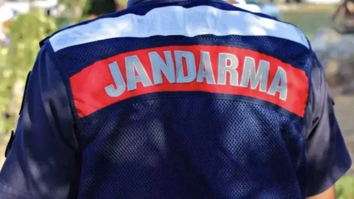 Ankara'da jandarma operasyonuyla aranan 118 şüpheli ele geçirildi