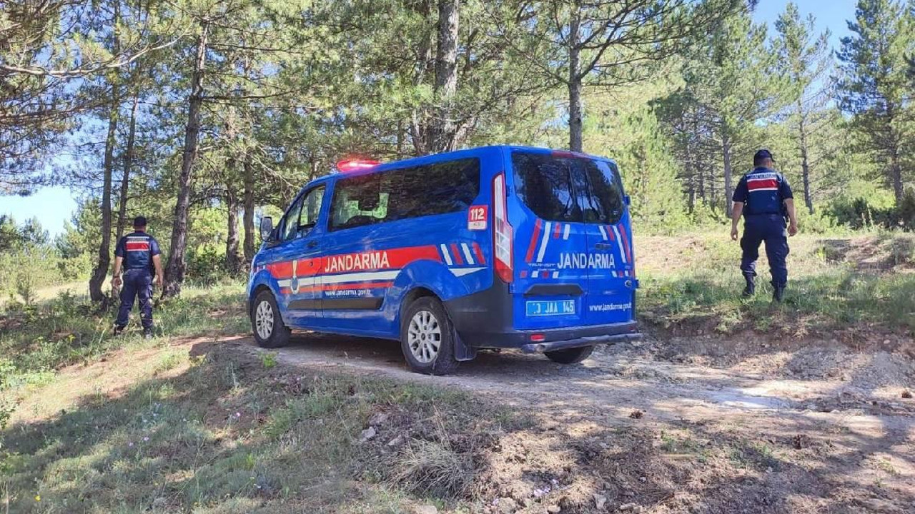 Kocaeli'de hayvan besleme tartışması kavgaya dönüştü: 3 tutuklama