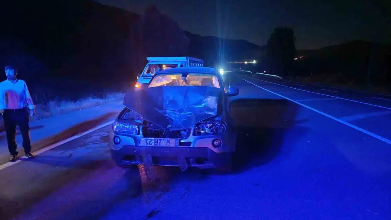 Bingöl'de otomobilin ata çarpması sonucu 1 kişi yaralandı