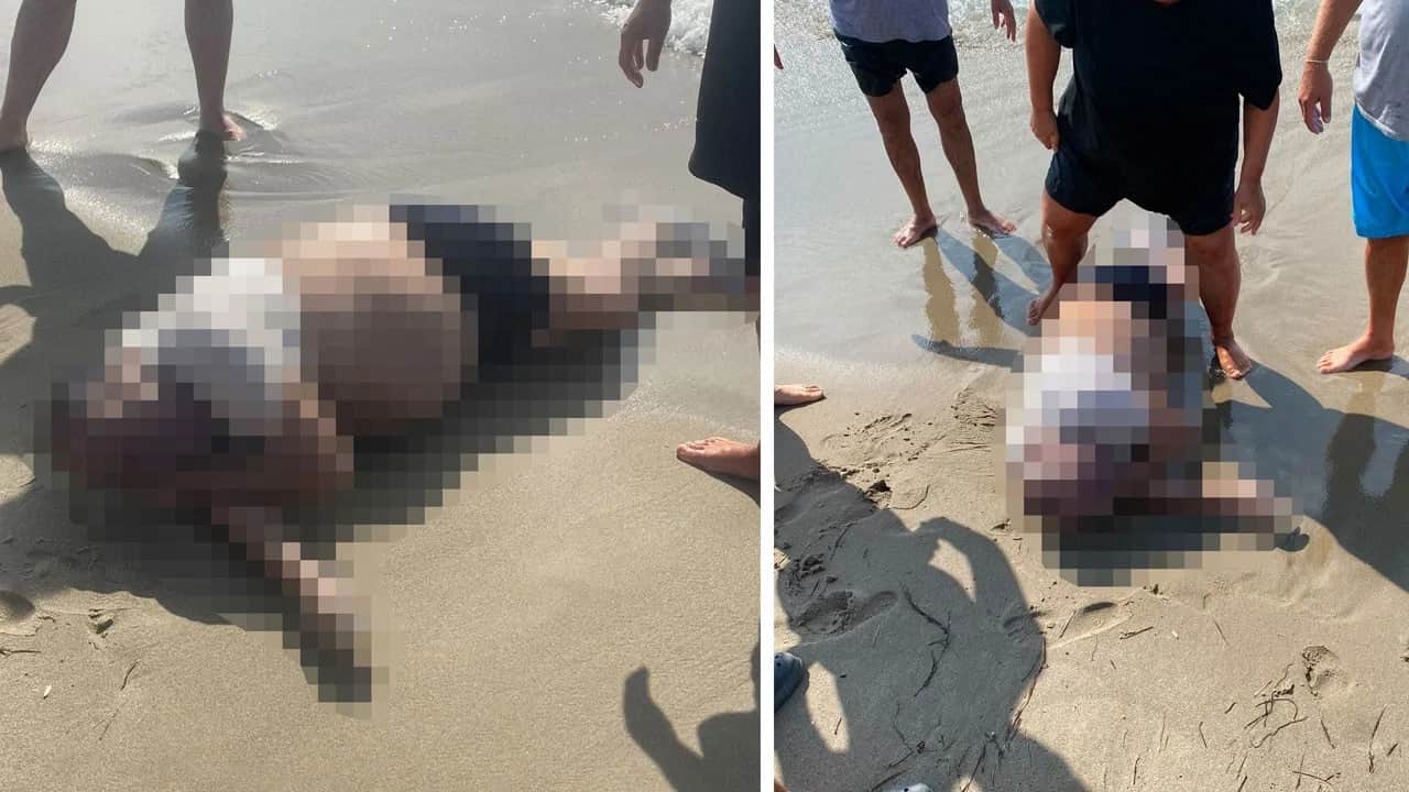 Denizde kaybolan iş insanı Rıza Muslu'nun cansız bedeni sahilde bulundu