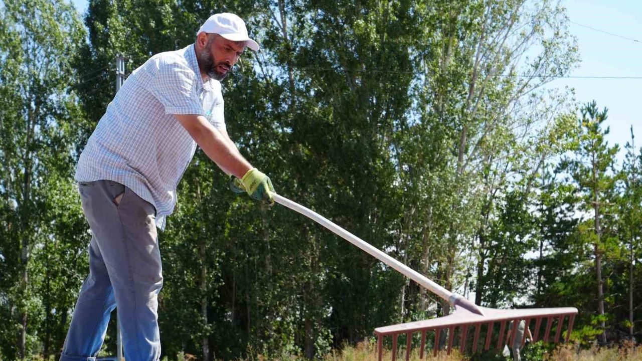 Trabzonlu fındık üreticileri kurutma işlemi için Bayburt'a gidiyor
