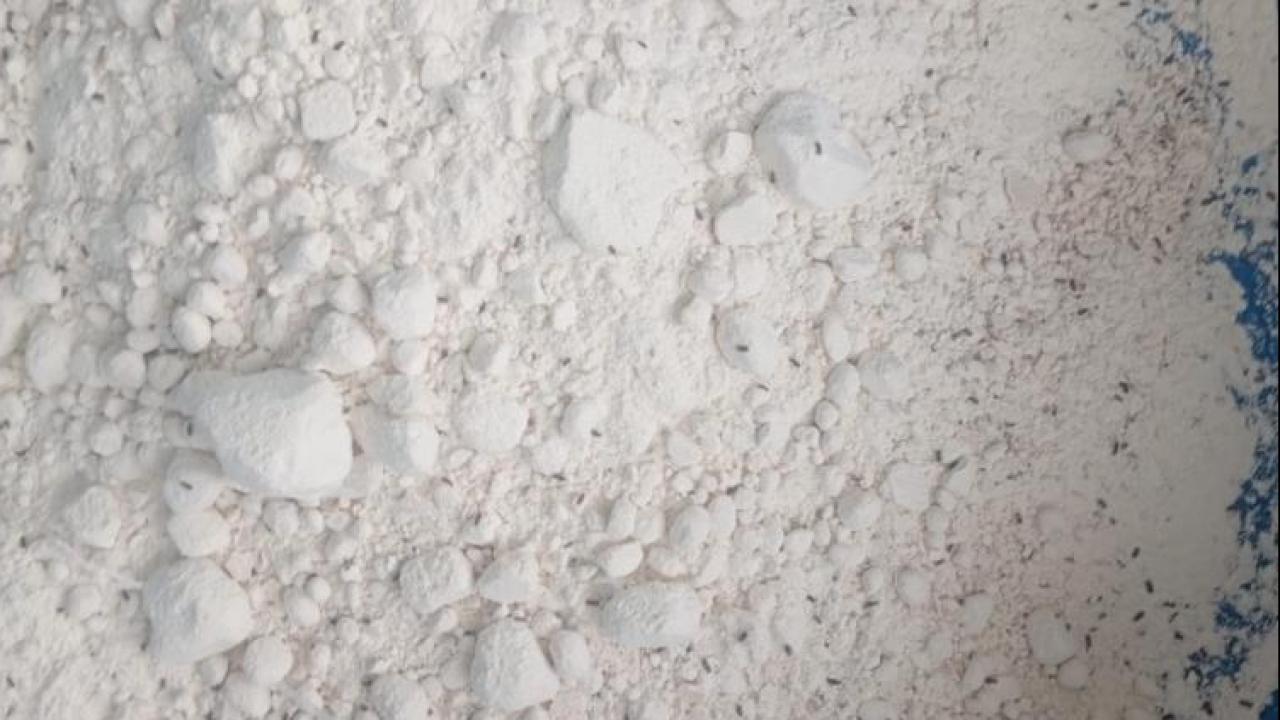Bartın'da 7,5 ton böceklenmiş ve tarihi geçmiş un imha edildi