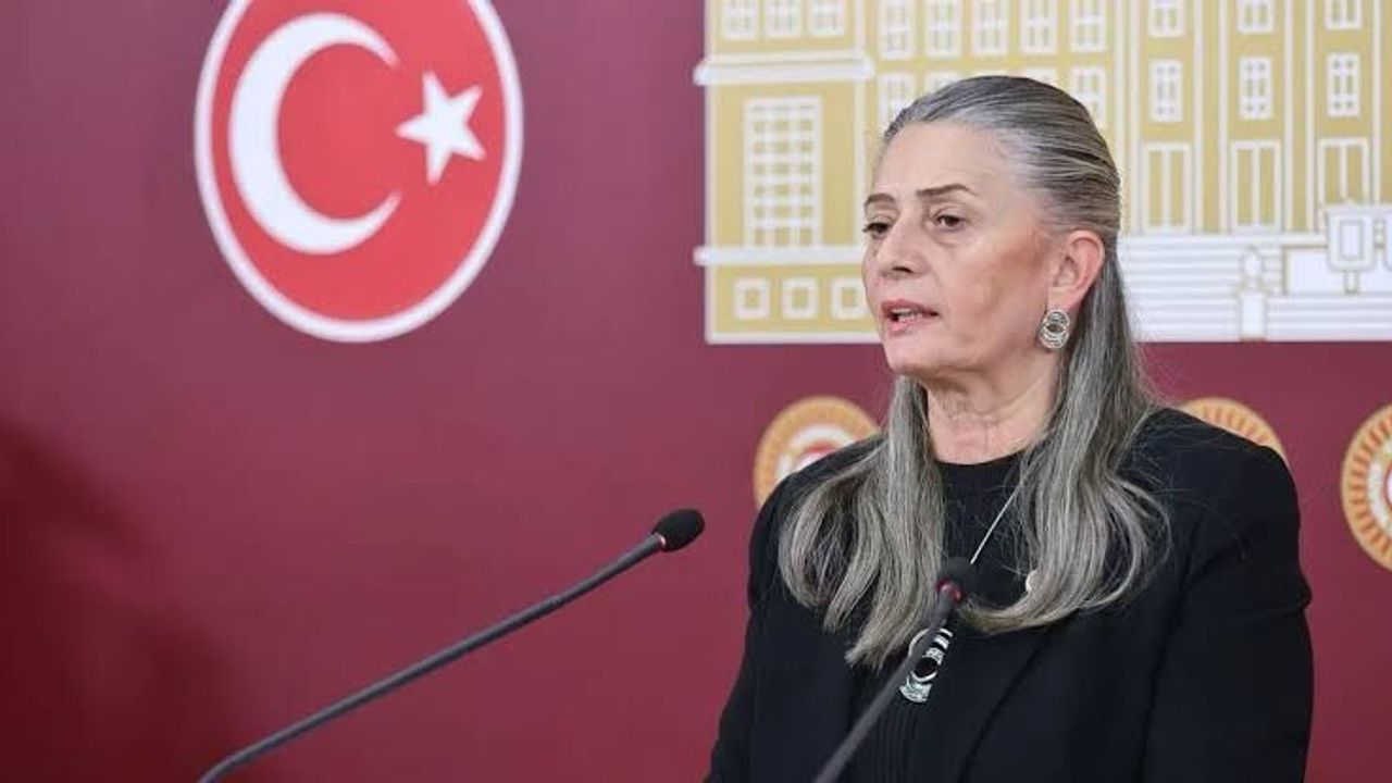 Suiçmez Adana ve Osmaniye'deki depremleri Meclis gündemine taşıdı