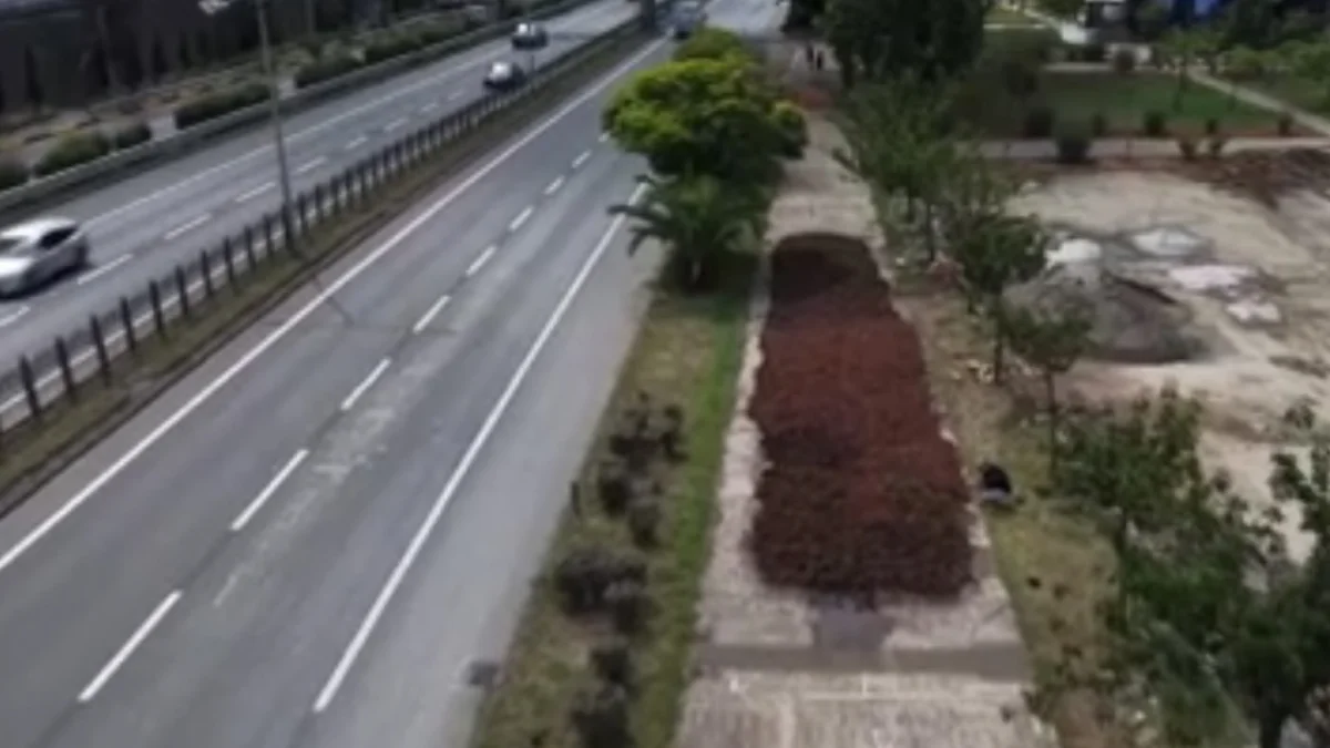 Trabzon'da fındık üreticileri ürünlerini korumak için sahil yolunda nöbet tutuyor