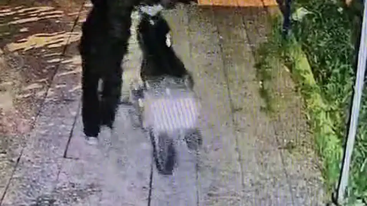 Reyhanlı'da maskeli iki kişi bir evin avlusundaki motosikleti çaldı