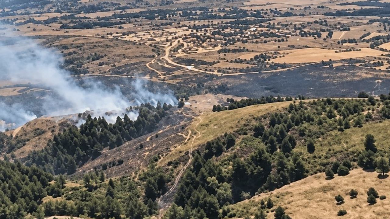 Eskişehir Tepebaşı'ndaki orman yangını kontrol altına alındı