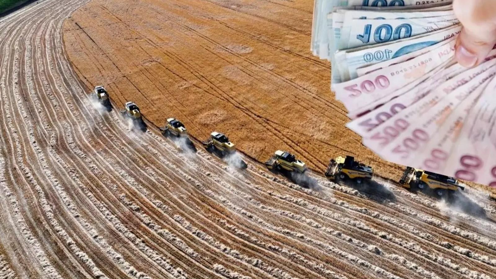 Toy kuşu popülasyonunu korumak için 265 milyon lira hibe sağlanacak