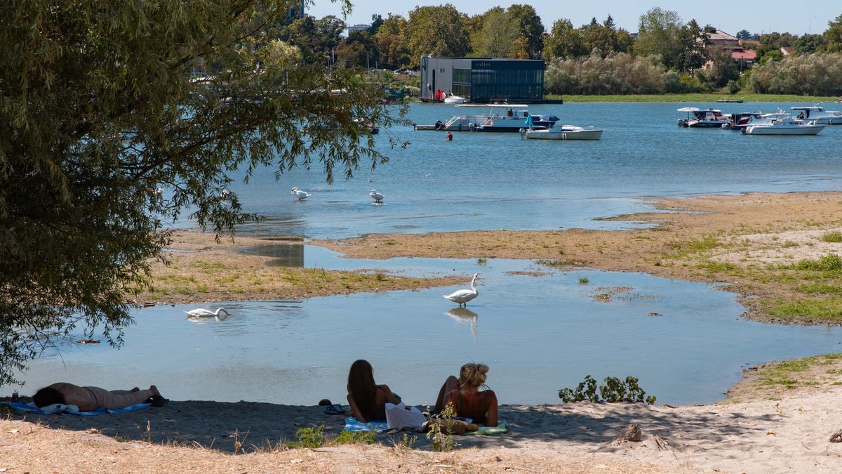 Sırbistan'da şiddetli kuraklık Tuna Nehri'nin su seviyesini rekor düzeyde düşürdü