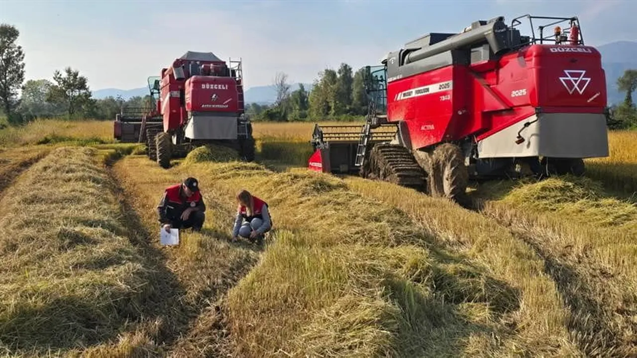 Düzce'de ürün kaybını önlemek için biçerdöver denetimleri yapılıyor
