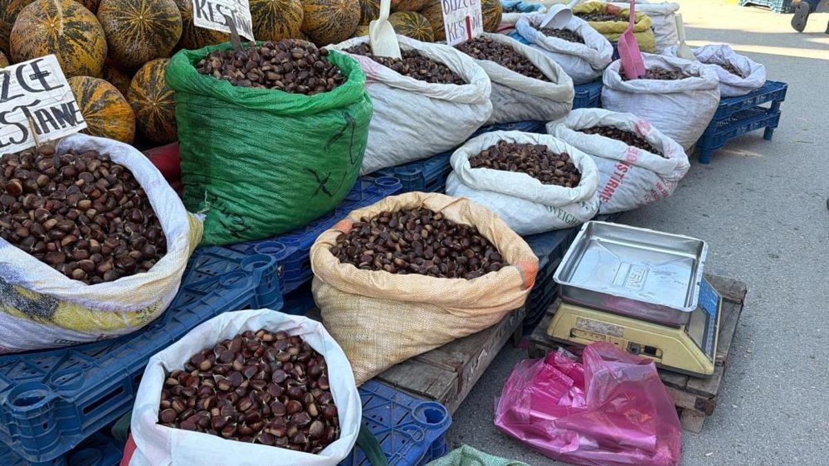 Bolu'da kestaneler boyuna göre 400 liraya kadar satılmaya başlandı