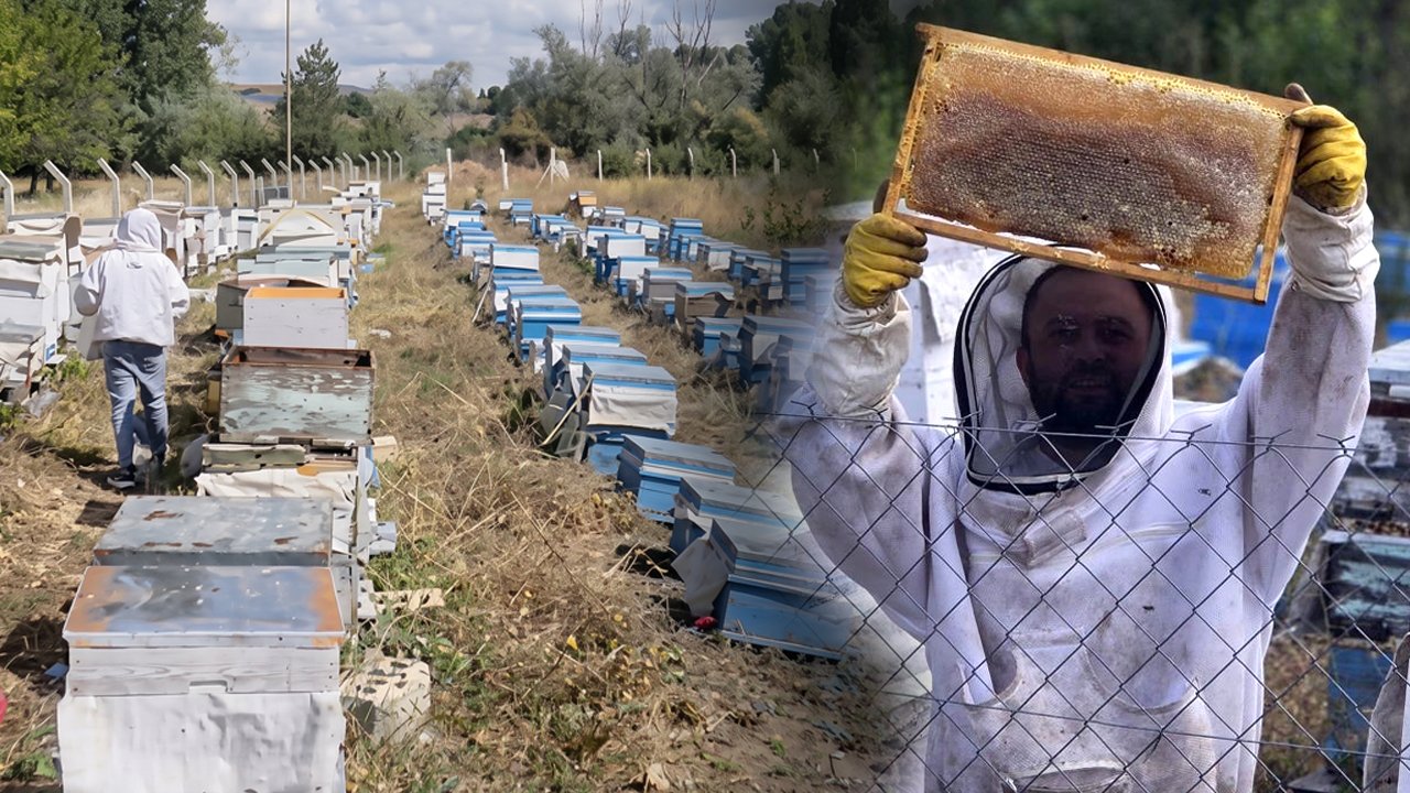 Yozgatlı nalbur hobi olarak başladığı arıcılıkta 250 kovana ulaştı