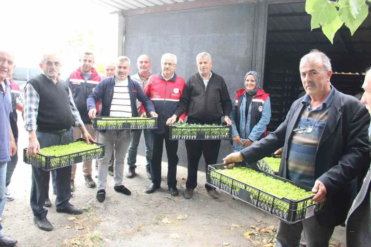 İnebolu'da TAKE projesiyle 65 üreticiye sebze fidesi desteği verildi