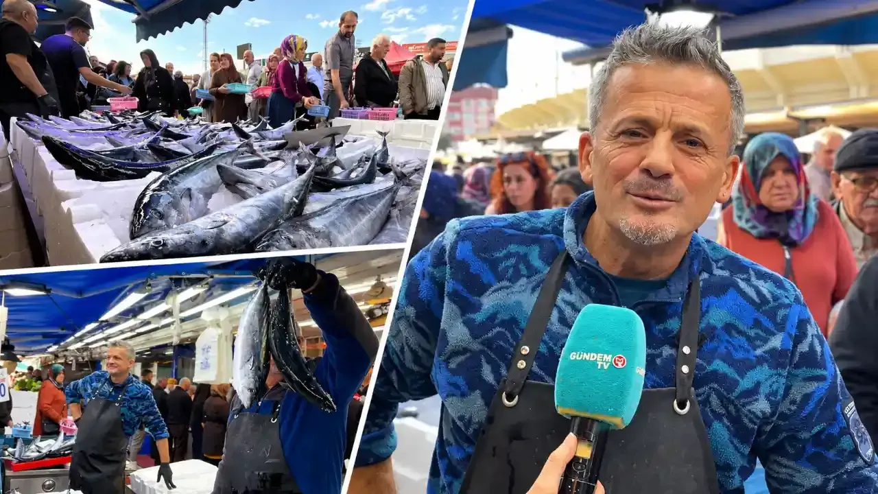 Balık tezgâhlarında palamut bolluğu ve türlere göre değişen fiyatlar