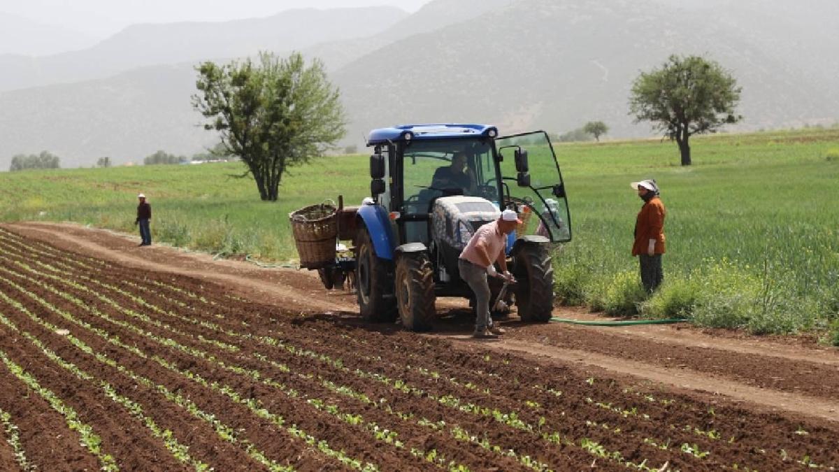Tarımsal ve hayvansal destek ödemeleri bugün çiftçilere aktarılıyor