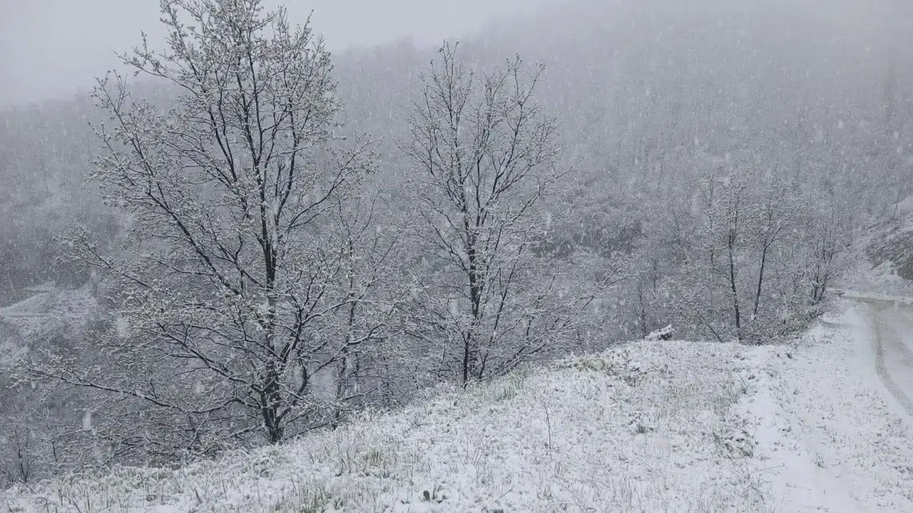 Manisa Alaşehir'in yüksek kesimlerinde kar yağışı görüldü