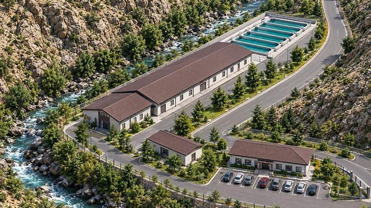 Van'da yıllık 300 milyon yumurta kapasiteli alabalık üretim tesisi kuruluyor