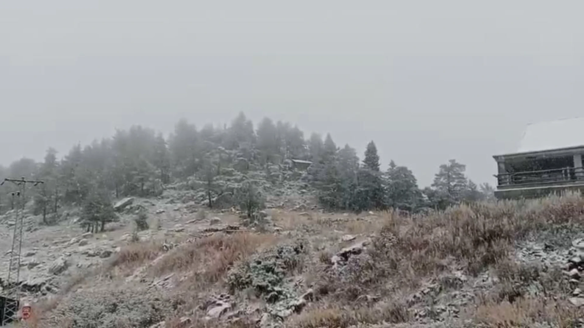 Bolu ve Düzce'nin yüksek kesimlerinde kar yağışı etkili oldu