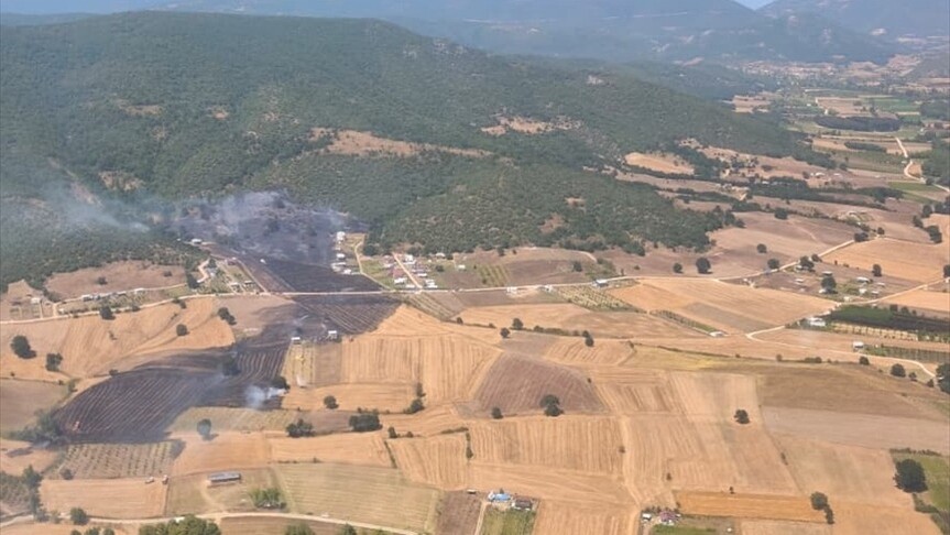 İzmir'in Kiraz ilçesinde tarım arazisinde çıkan yangın ormana sıçradı
