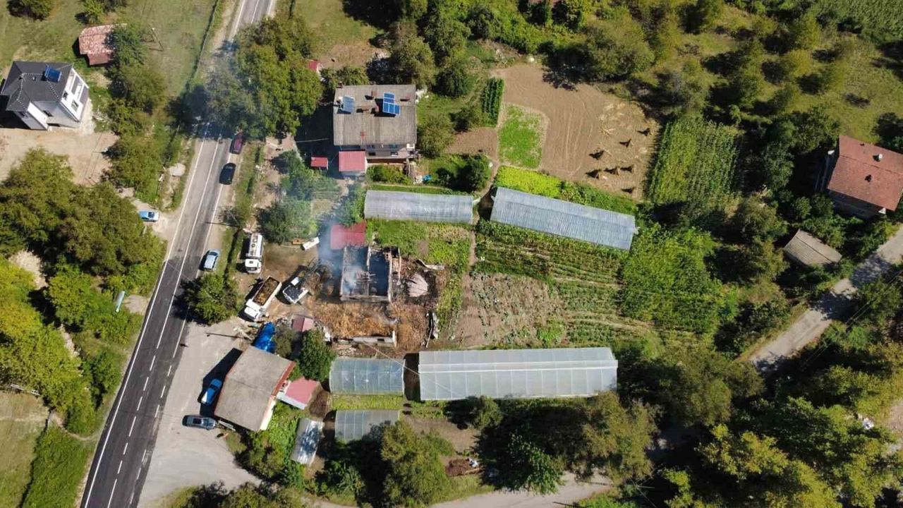 Bartın'da ahır yangınında 9 büyükbaş hayvan telef oldu