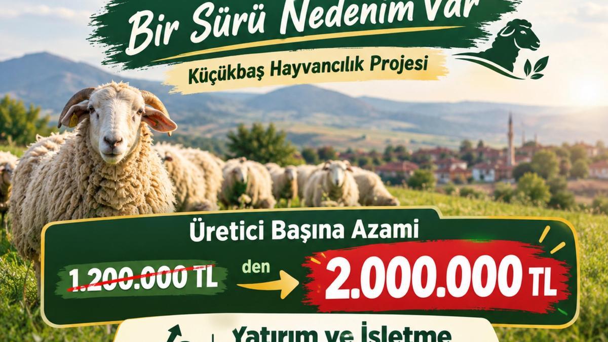 Edirne'de küçükbaş hayvancılık kredi limiti 2 milyon liraya çıkarıldı