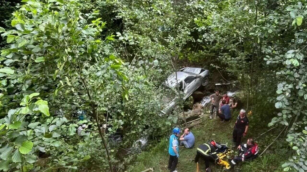 Trabzon'da fındık toplarken yamaçtan yuvarlanan kadın yaralandı