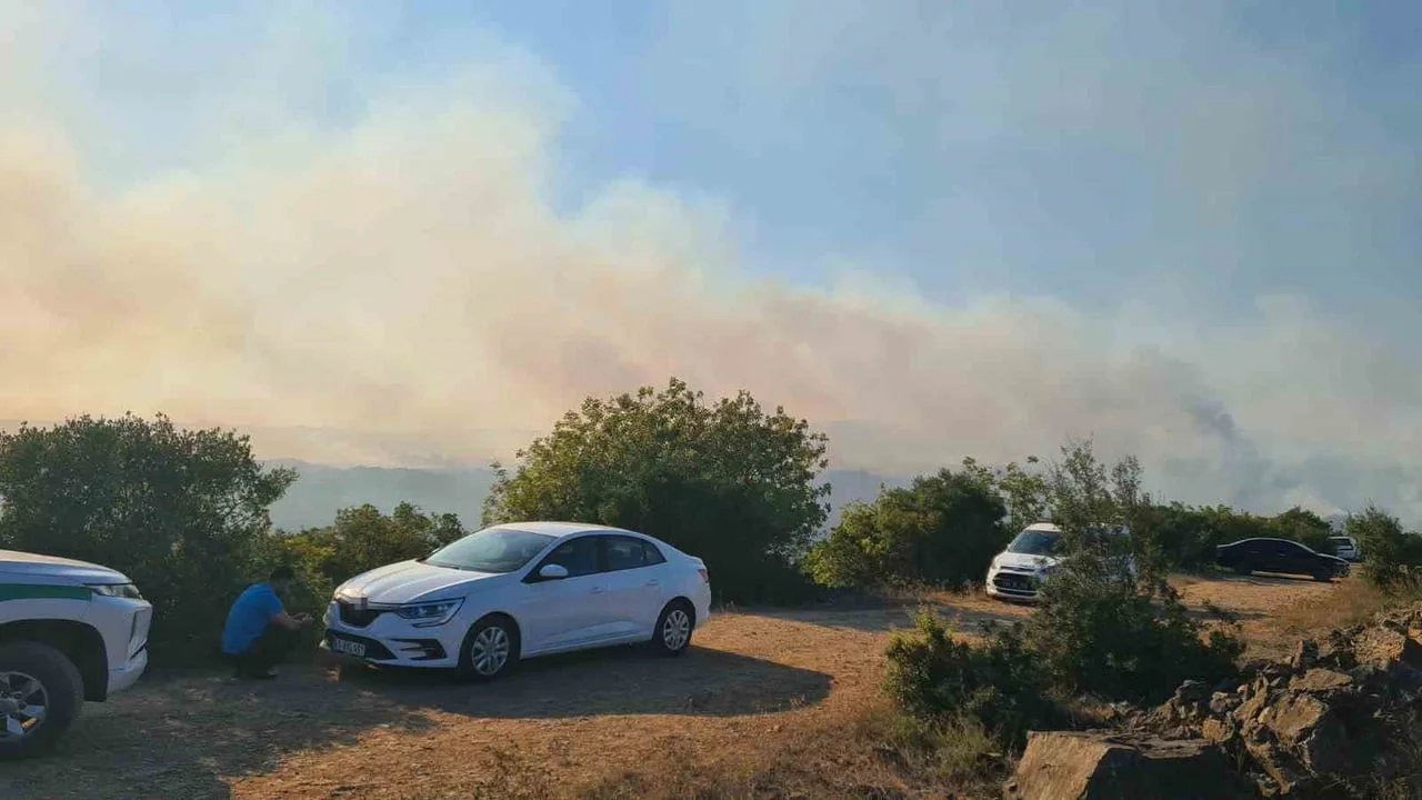 Kocaeli Gebze'de orman yangınına havadan ve karadan müdahale ediliyor